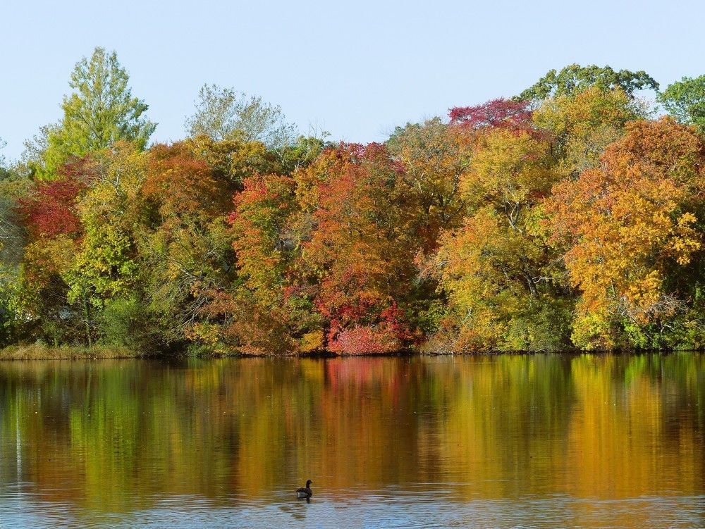 Photograph by Leo Tujak