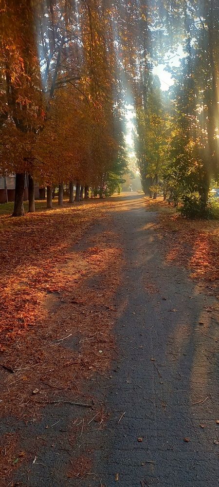 Фотография автора Марина Новикова