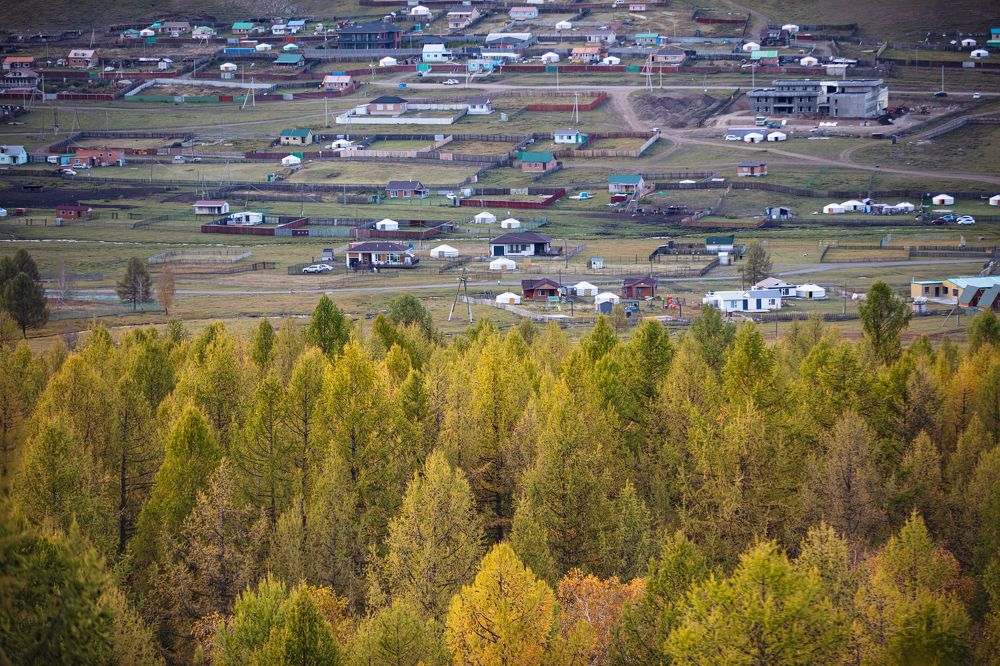 Mongolian autumn colors.