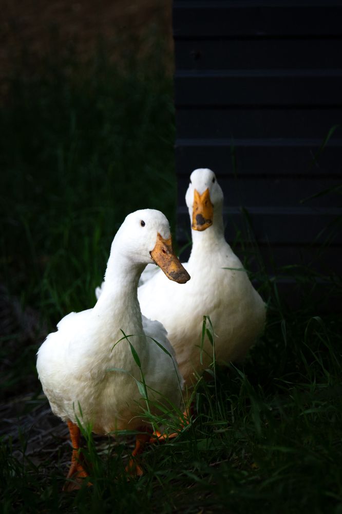 Photograph by Ольга