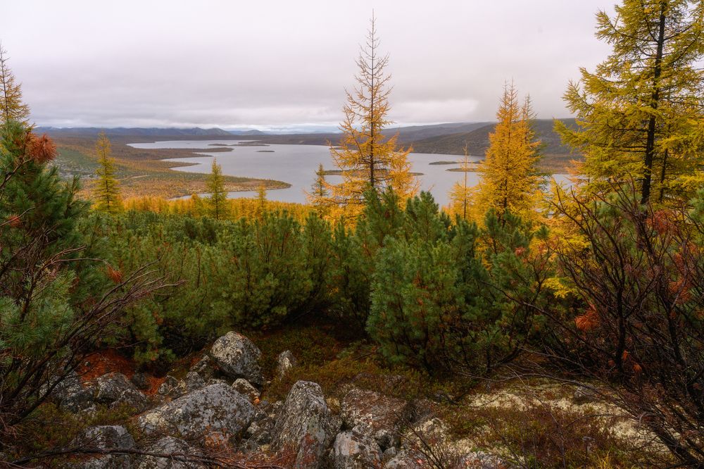 Photograph by Юлия Лаптева