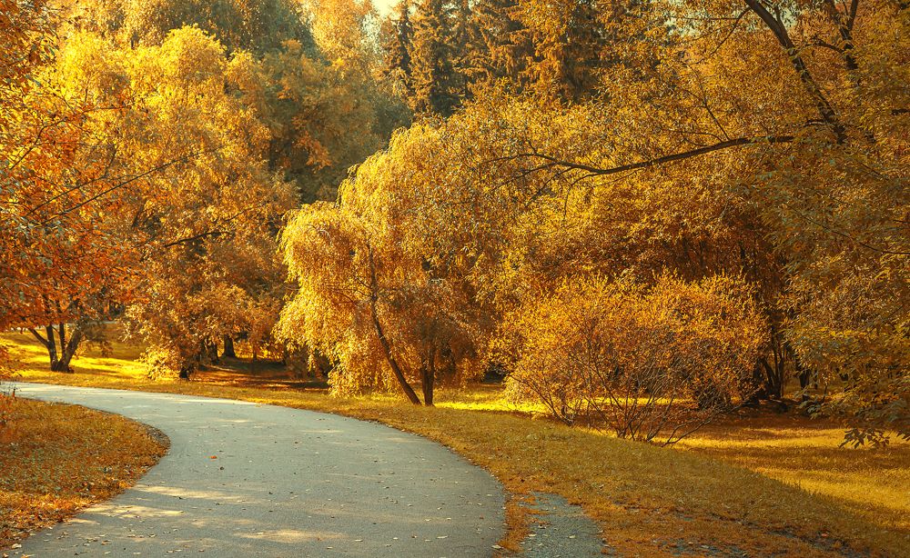 Фотография автора Andrey Pristyazhnyuk