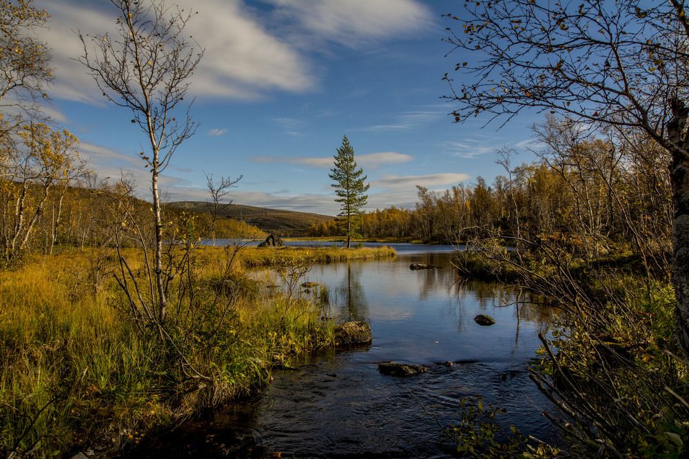 Photograph by Ольга Яскунова