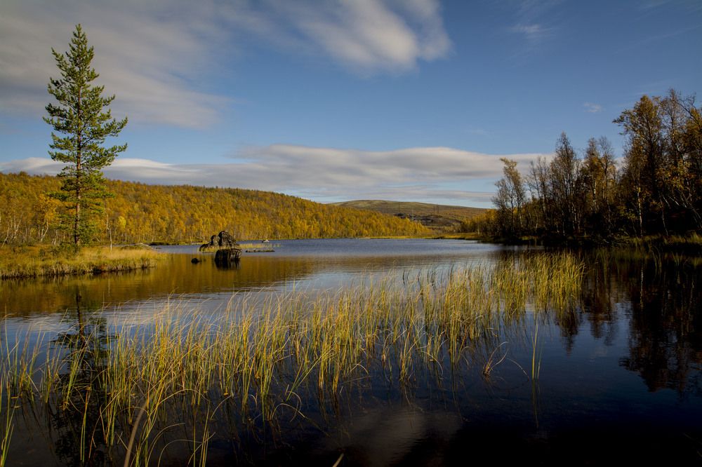 Photograph by Ольга Яскунова