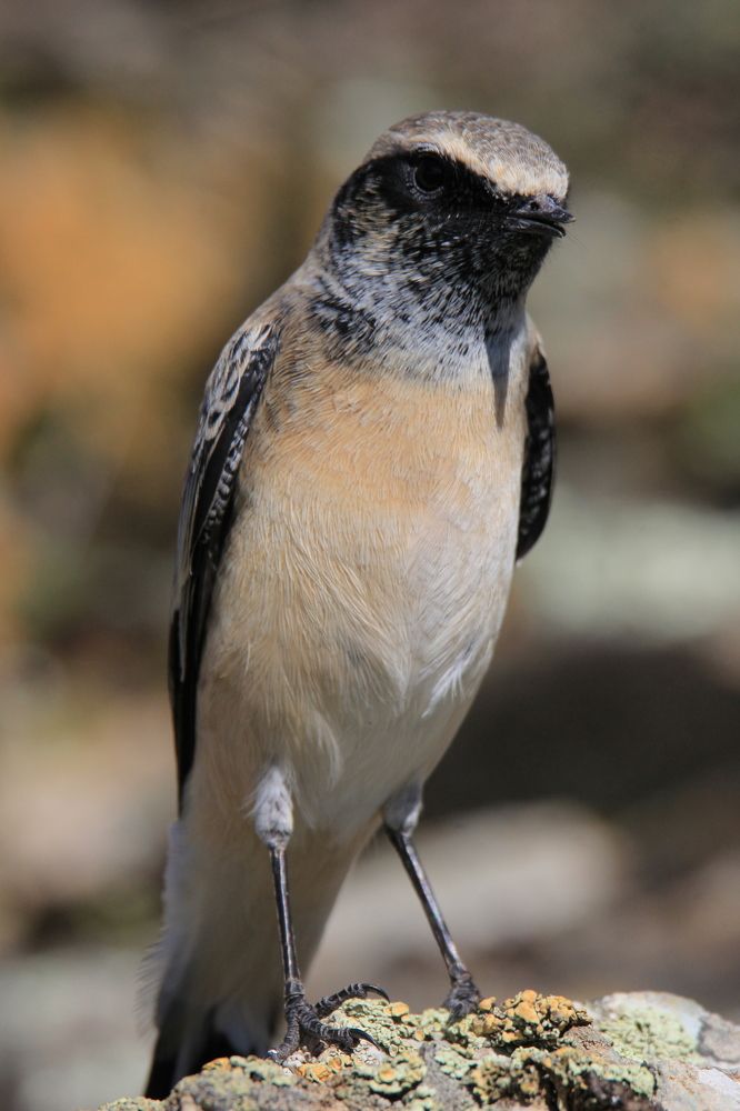 Photograph by Андрей Головин