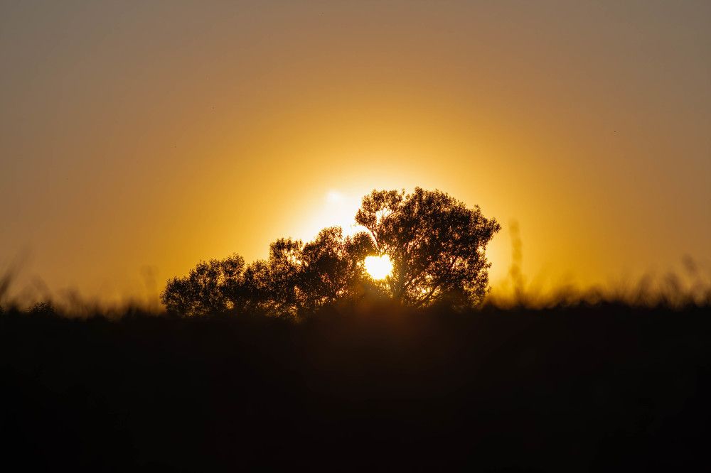 Фотография автора Алина Руденко