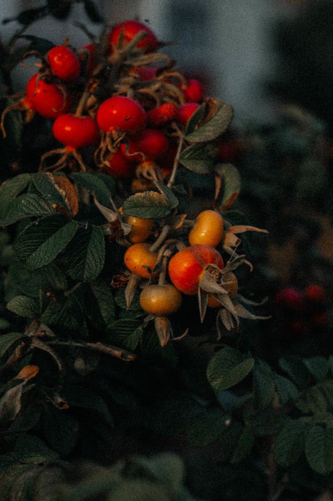 Фотография автора Алина Руденко