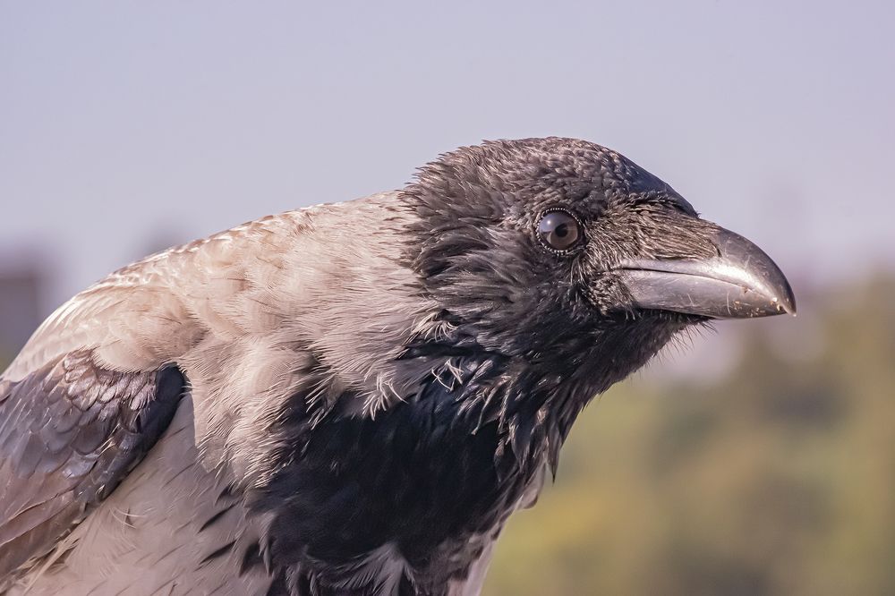 Photograph by Бурикова Екатерина