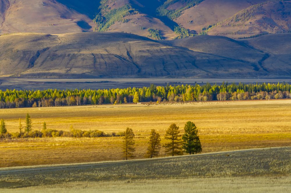 Photograph by Алексей Лазарев