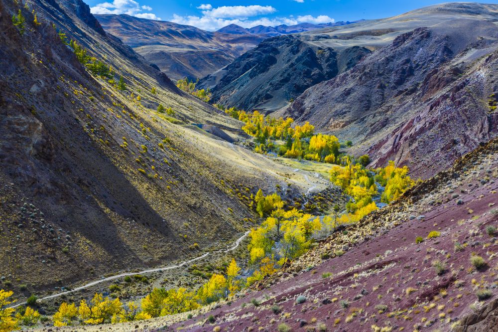 Photograph by Алексей Лазарев