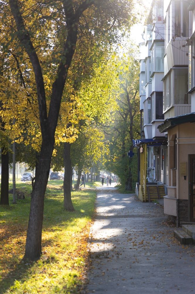 Photograph by Алина Щекотова