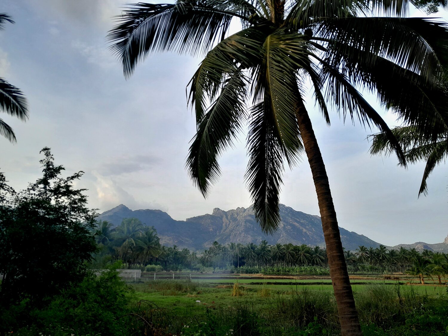 Photo #11063463