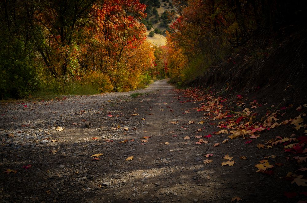 Photograph by Matt Miller