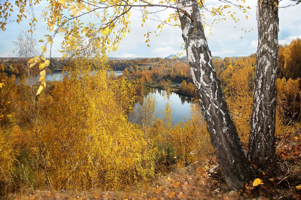 Photograph by Андрей Стародубцев