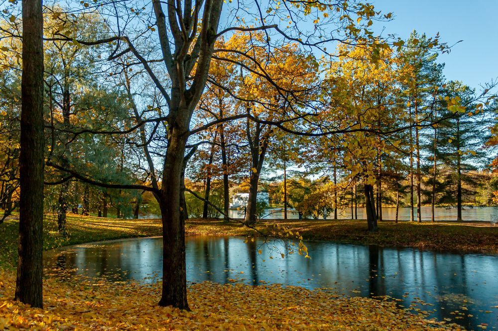 Photograph by Андрей Рыбачек