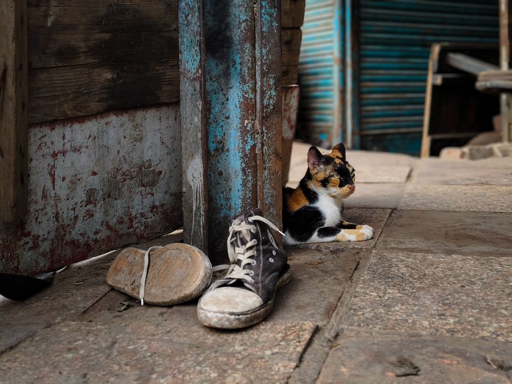 Photograph by HARSHIT MISHRA