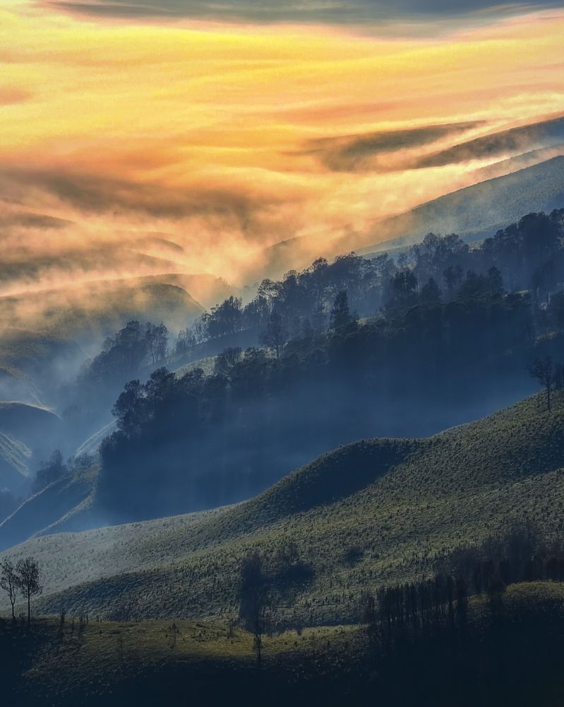 Photograph by Syafri Muhammad