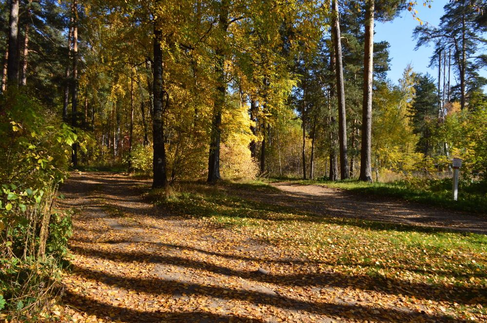 Фотография автора Клавдия Васильева