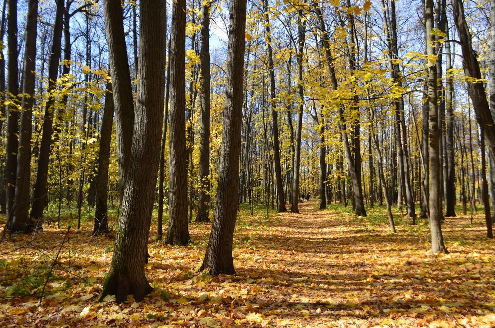 Фотография автора Клавдия Васильева