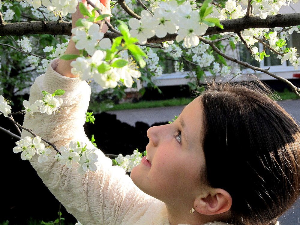 Photograph by Жанна Нечаева