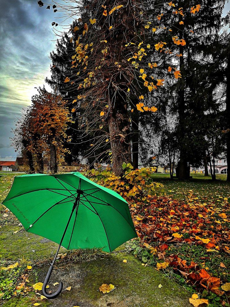 Photograph by Alen Brkić