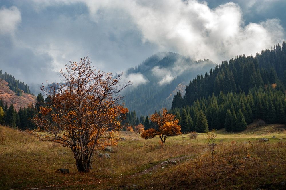 Photograph by Bogdan Karabak