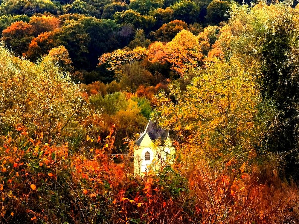 Photograph by Alen Brkić