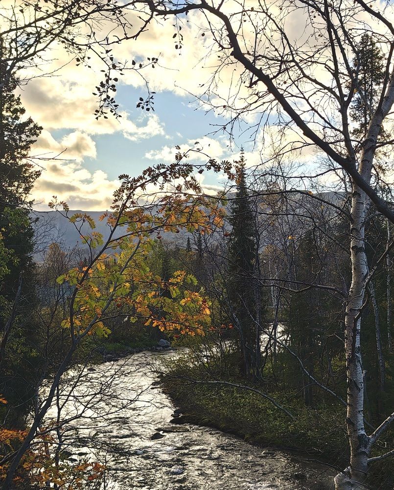 Photograph by Светлана Морева