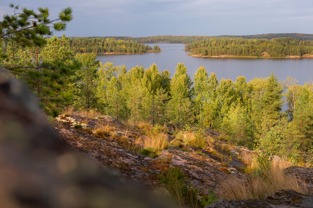 Photograph by Юлия Яковлева