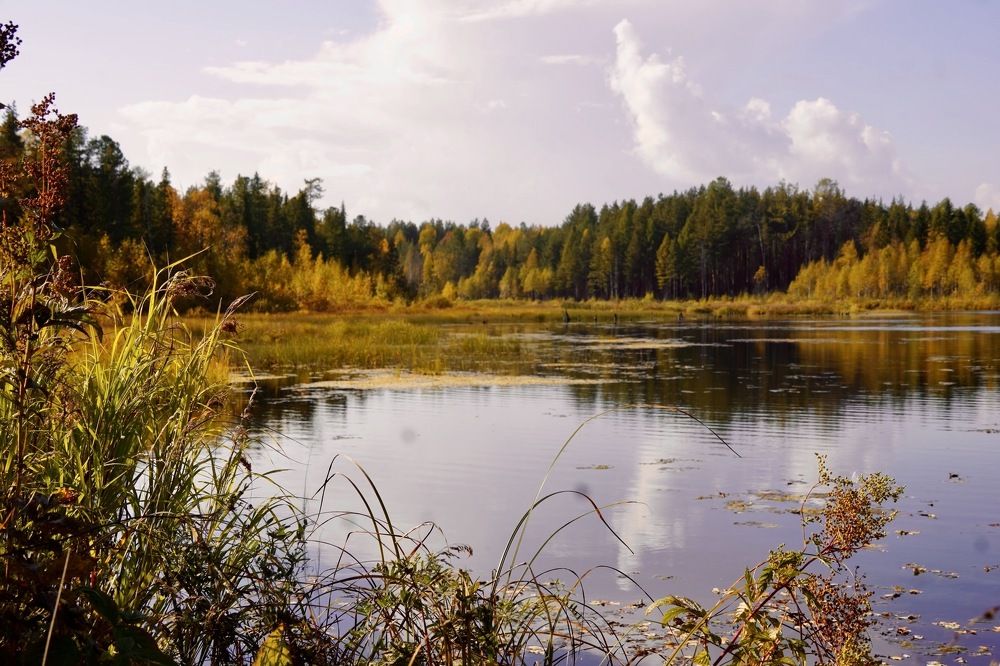 Photograph by Светлана Хохлова