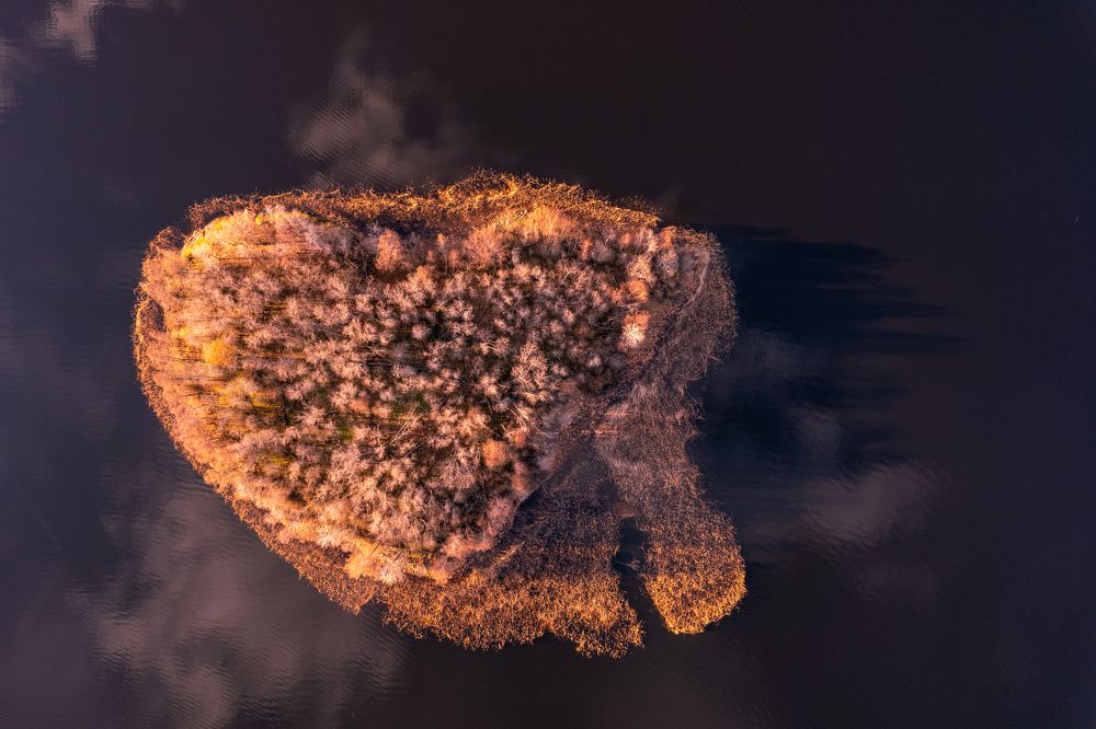 Photograph by Алексей Ширманов