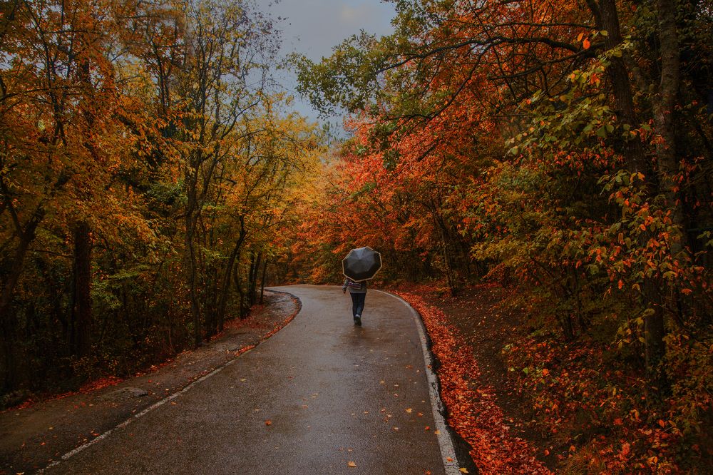 Photograph by Татьяна Назмутдинова
