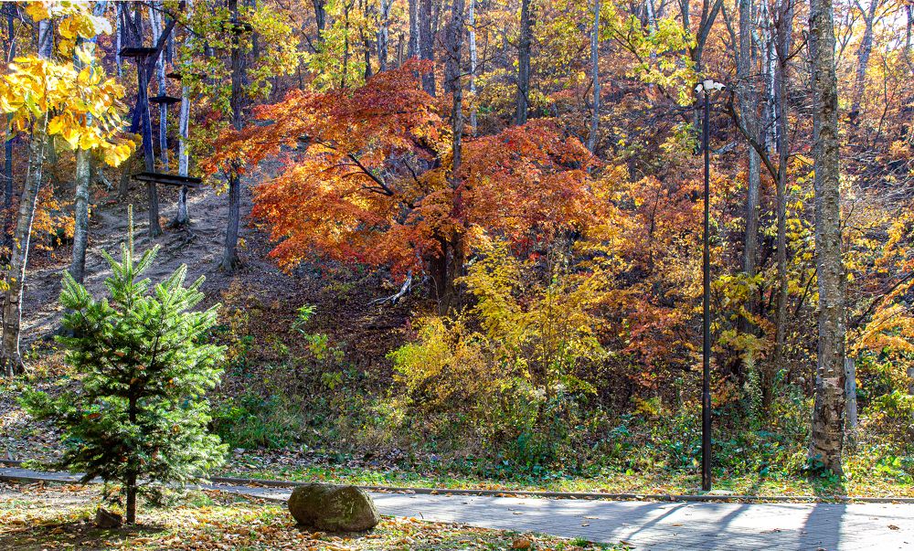 Photograph by Igor Savchenko