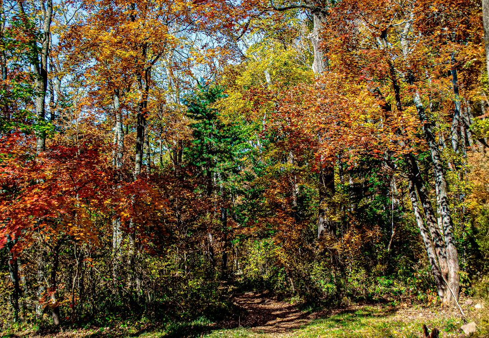 Photograph by Igor Savchenko