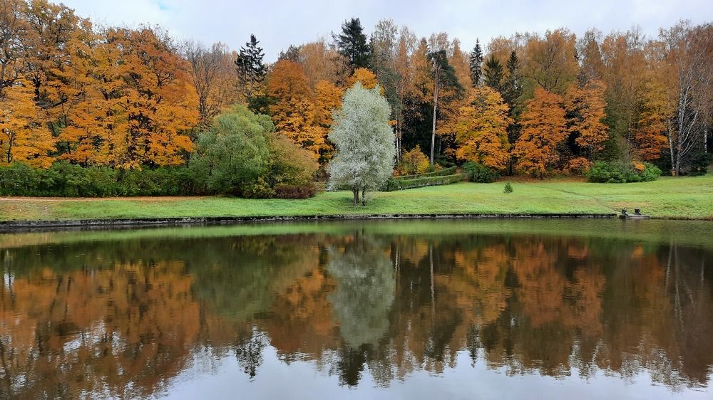 Photograph by Светлана Андреева