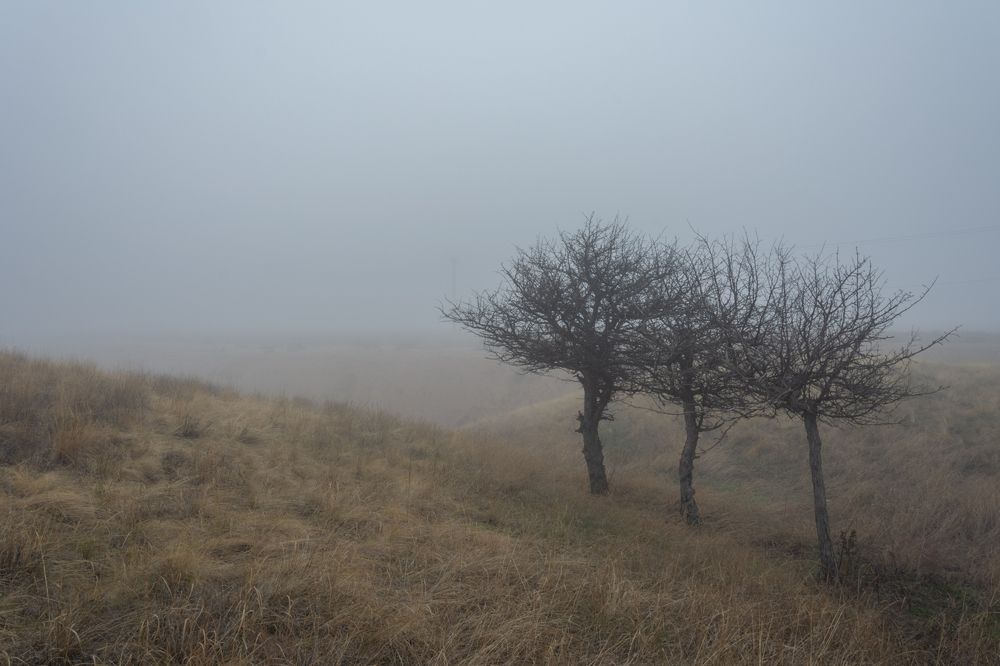 Photograph by Ольга Салтыкова