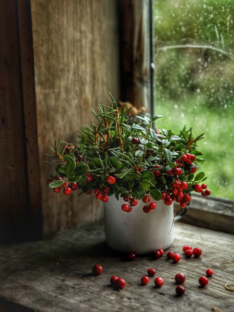 Photograph by Angelica Medvedeva