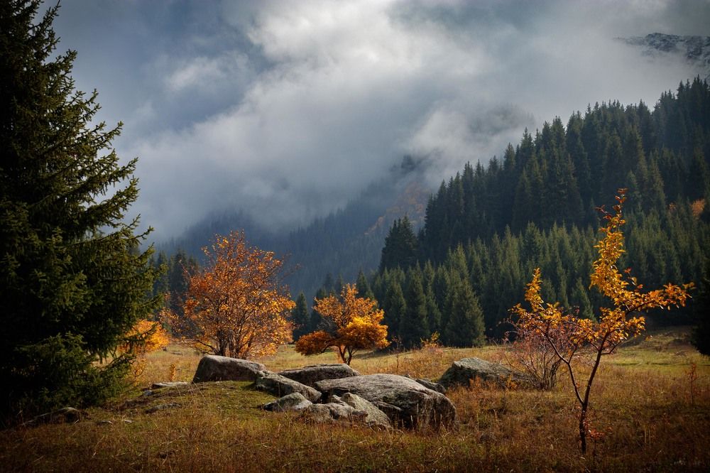 Photograph by Bogdan Karabak