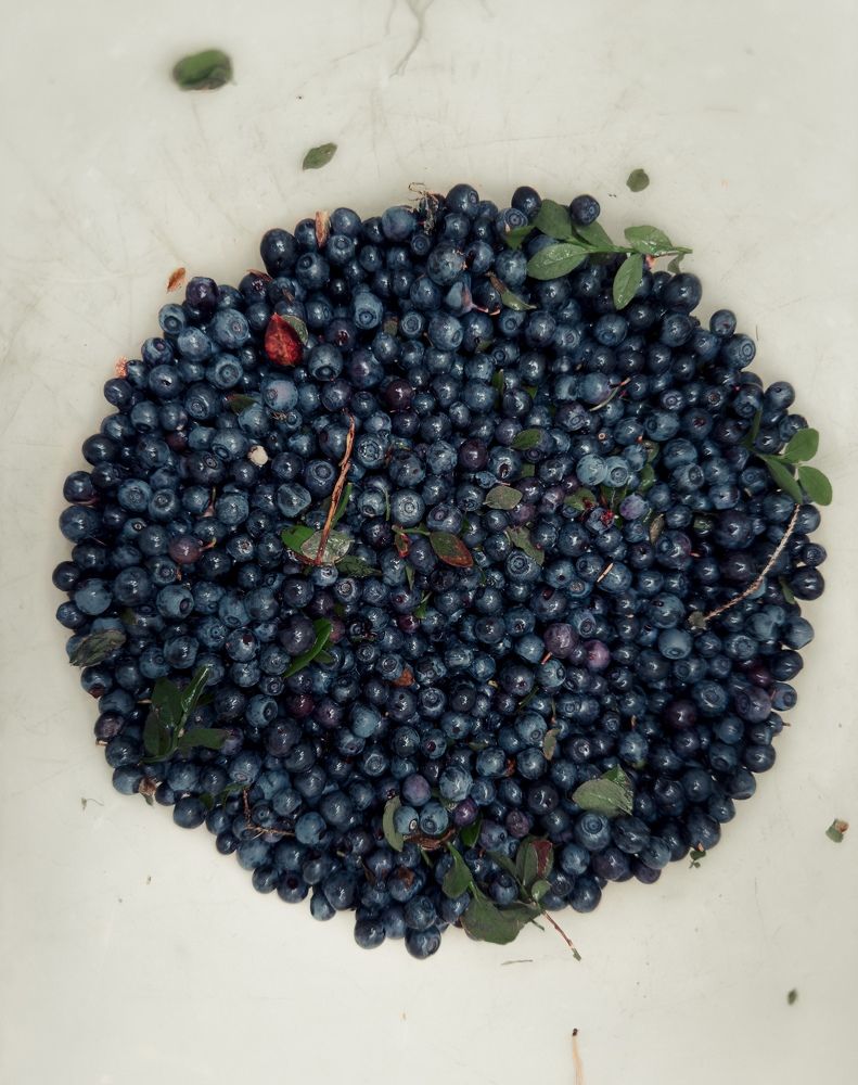 Photograph by Vladislav Trushkov