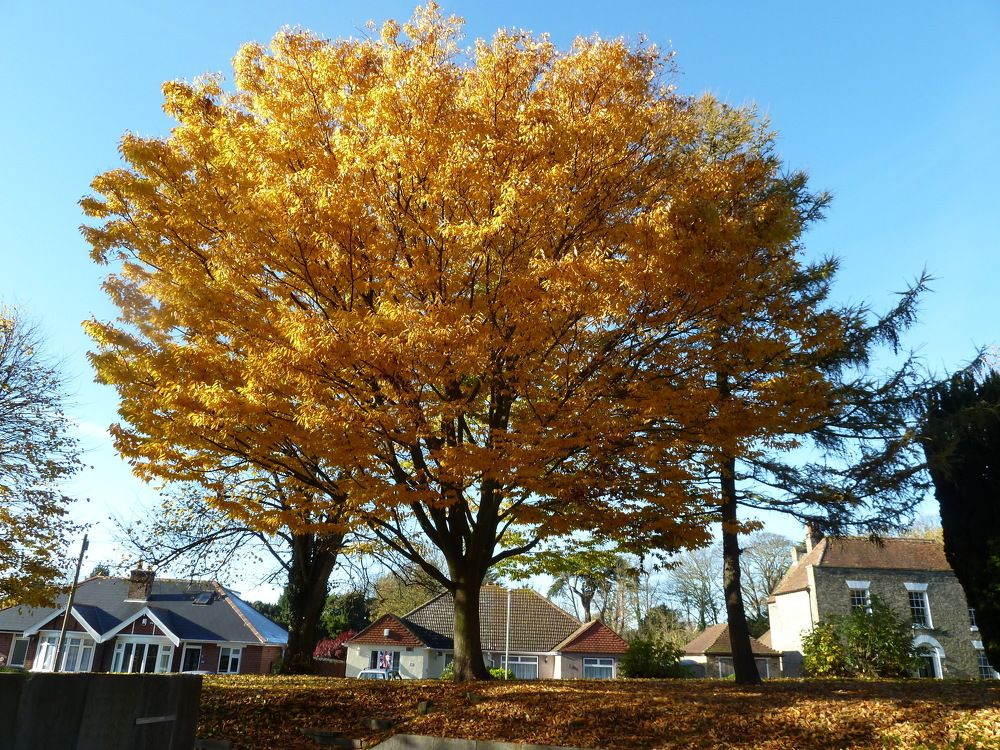 Photograph by Isabella Northrop