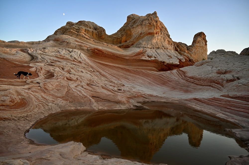 Looking for something new