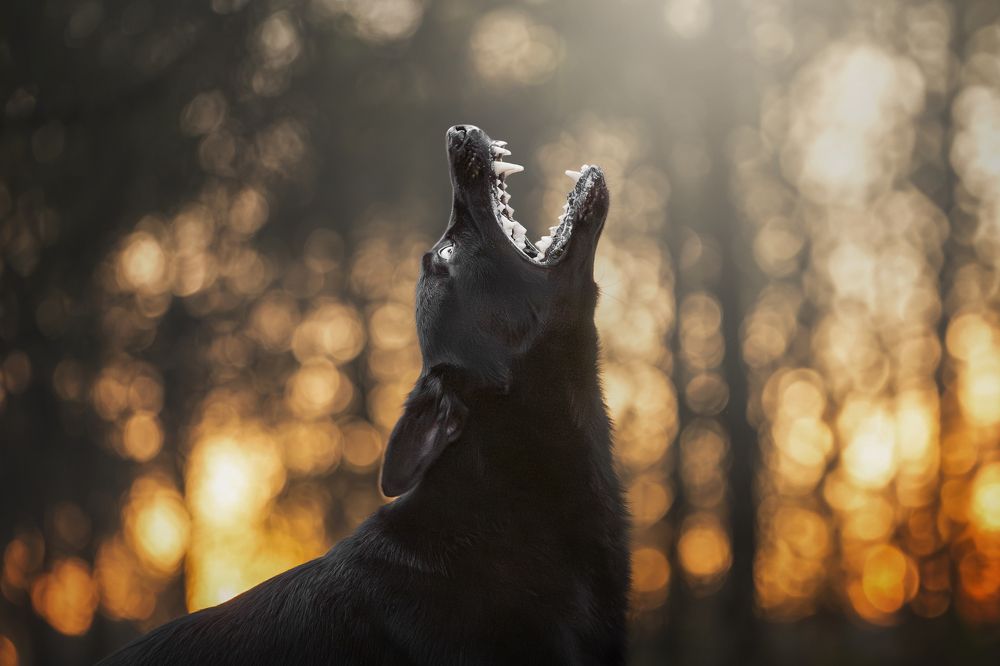 Photograph by Paula Casado Gutierrez