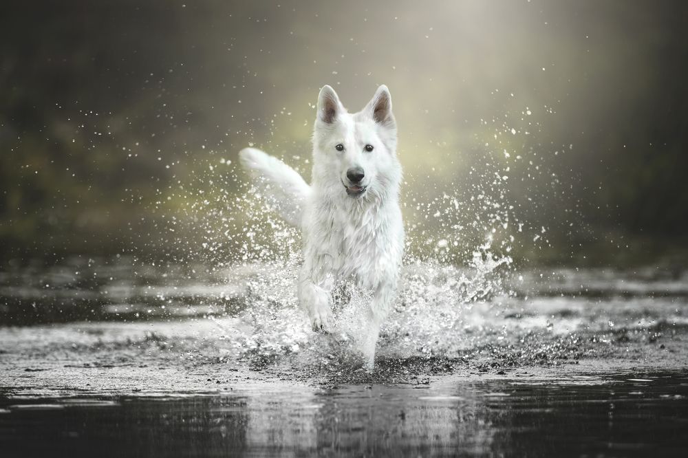 Photograph by Paula Casado Gutierrez