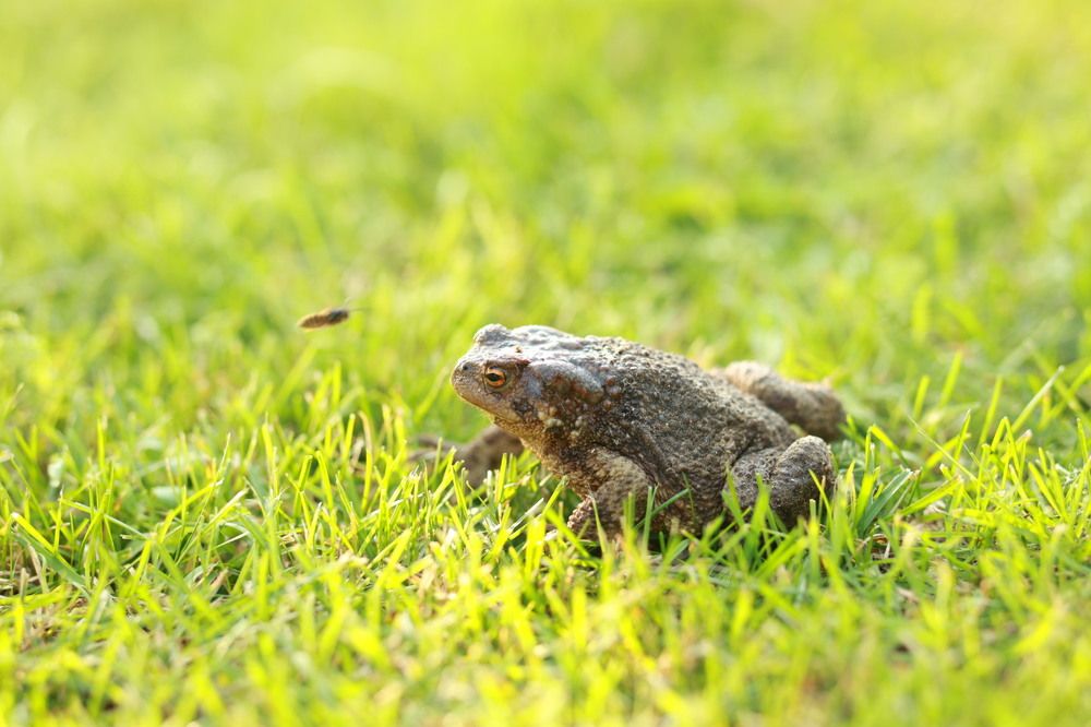 Photograph by Татьяна Пелгонен