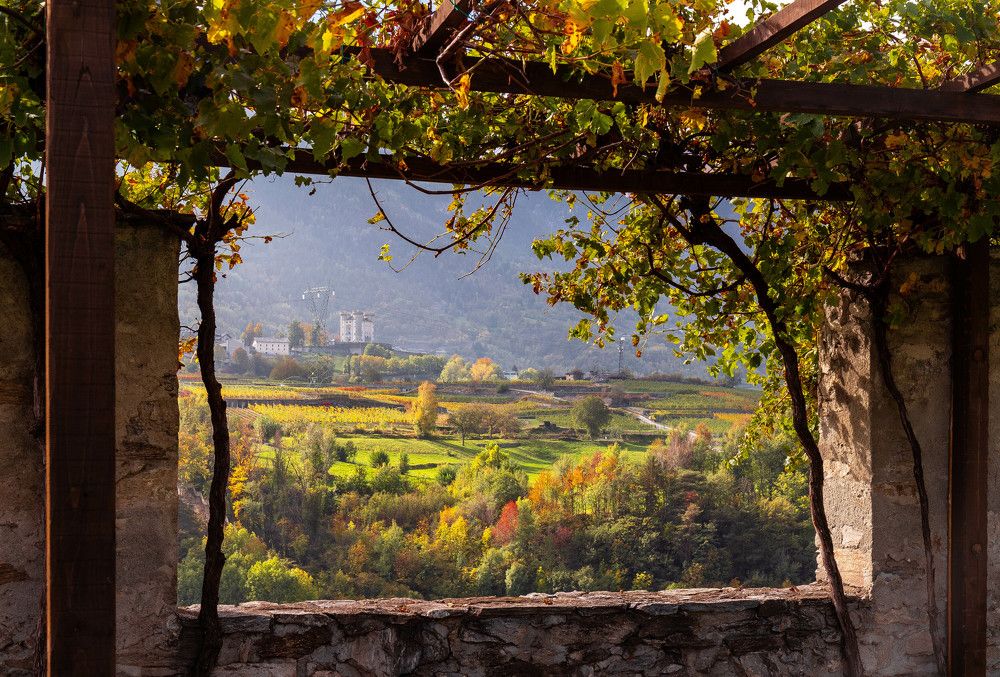 Photograph by Elena Itenberg