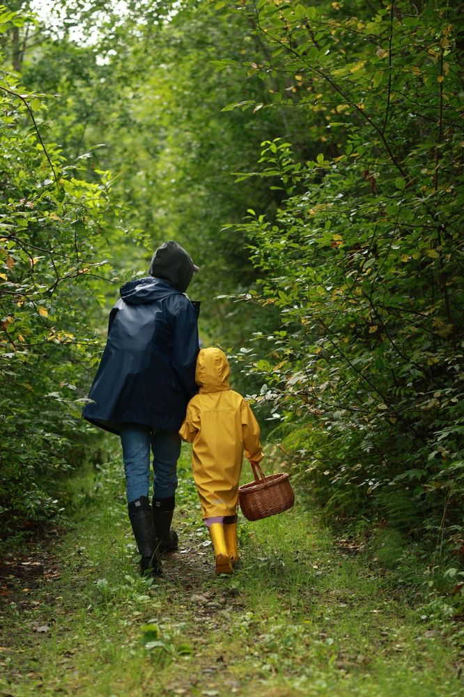 Photograph by Татьяна Пелгонен