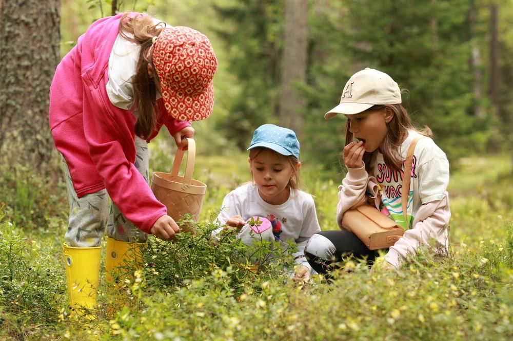 Photograph by Татьяна Пелгонен