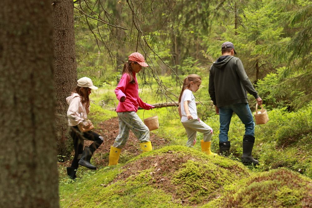 Photograph by Татьяна Пелгонен