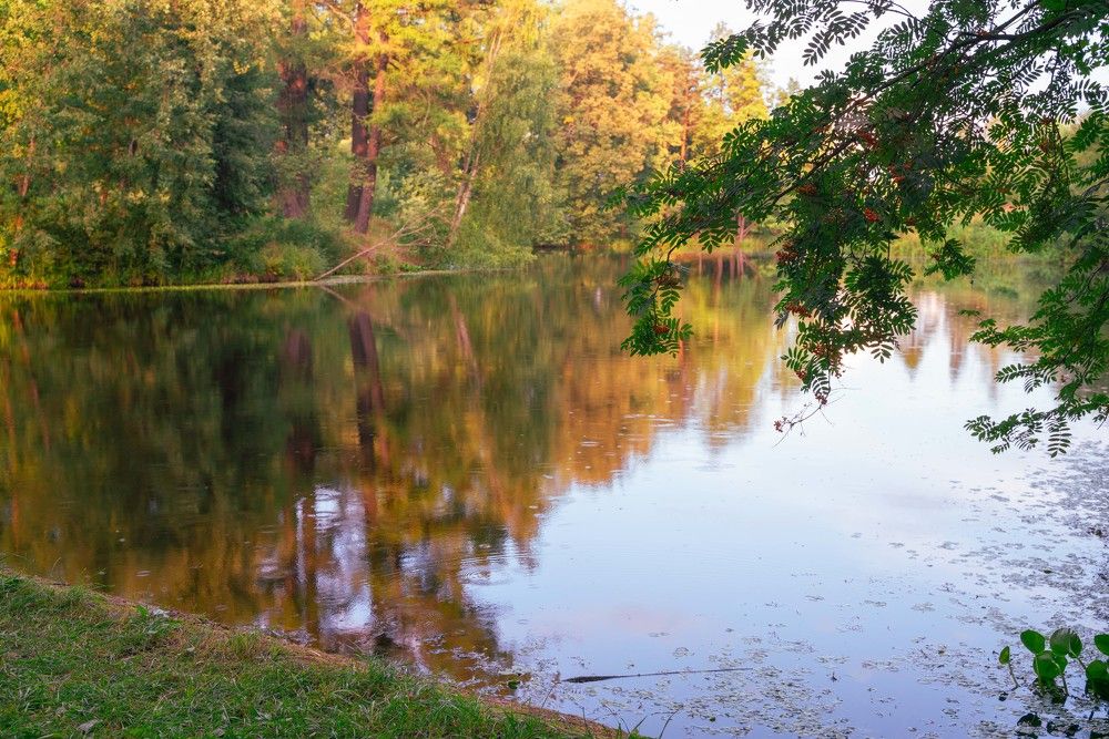 Photograph by Кристина