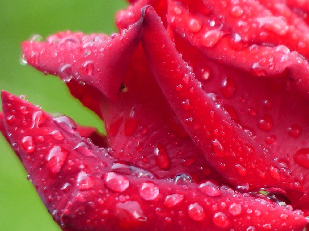 Photograph by Георгий Салюков